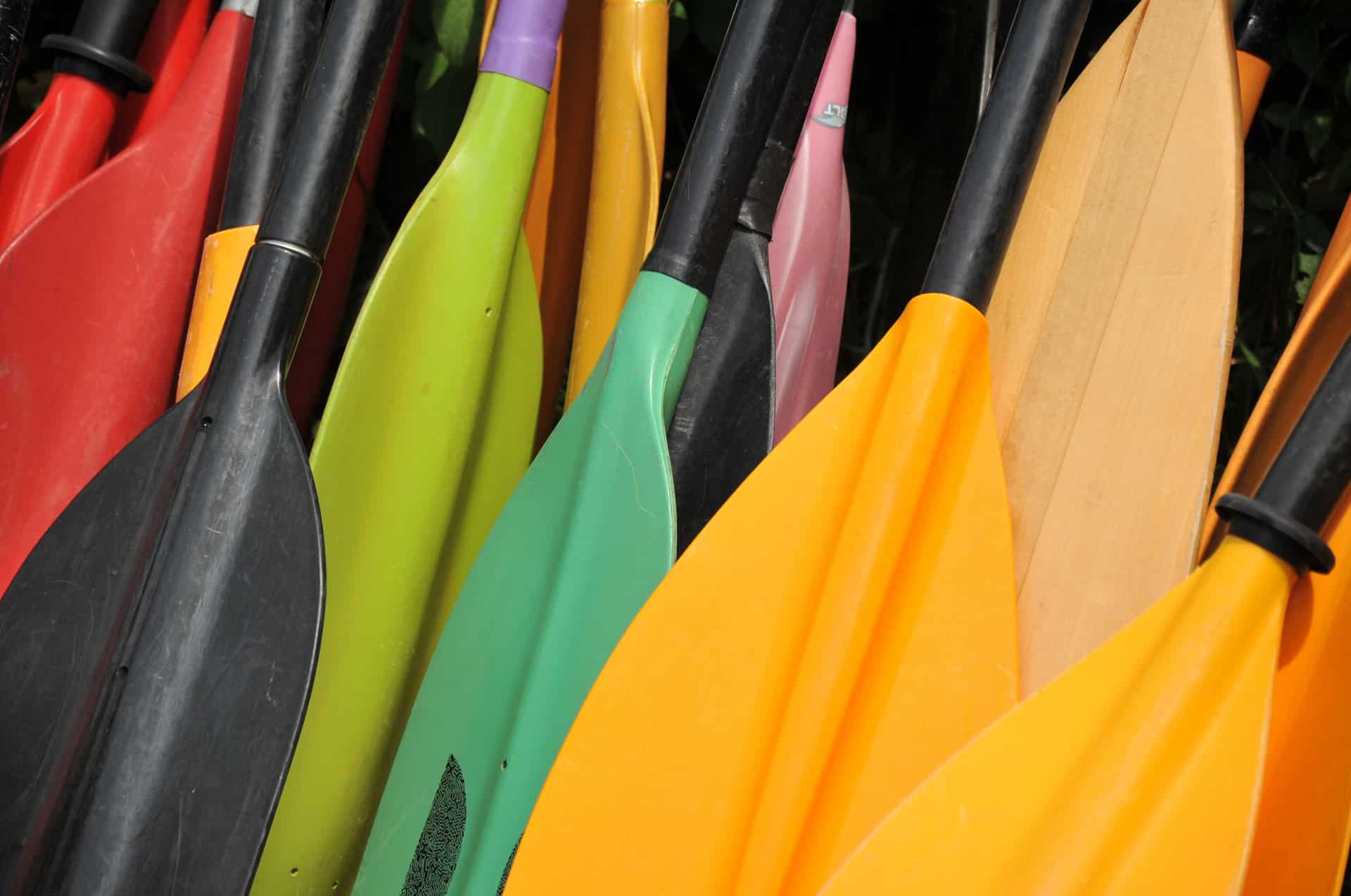 Colorful paddles in paddle town
